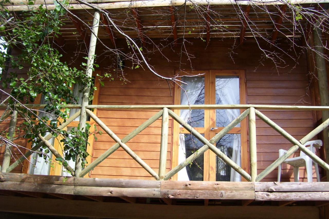 Cabanas Spa Bungalows Huarranchi Pucón Rom bilde